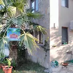 The Palm Sarigerme