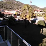 The Palm