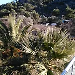 The Palm Lejlighed