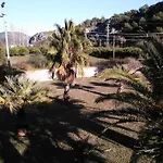 Lejlighed The Palm