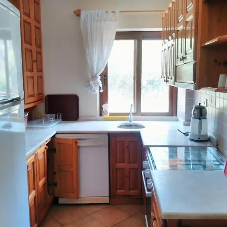 The Palm Apartment *