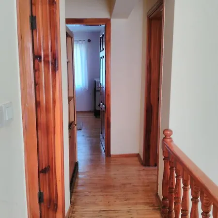The Palm Apartment Sarigerme
