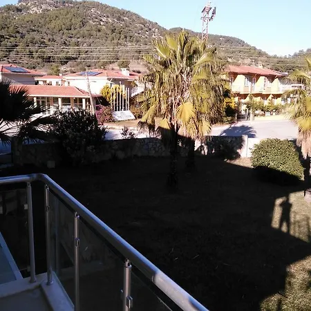 The Palm