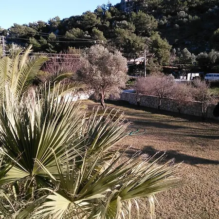 Apartment The Palm Sarigerme