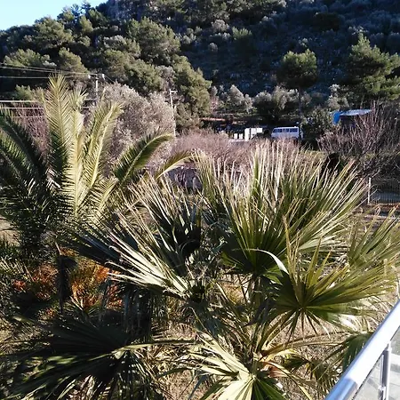 The Palm Appartement