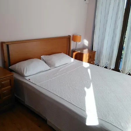 The Palm Apartment