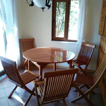 The Palm Apartment