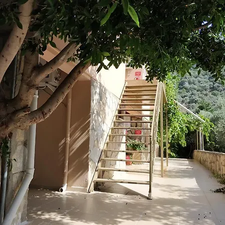 The Palm Apartment