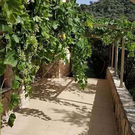 The Palm Appartement Sarigerme