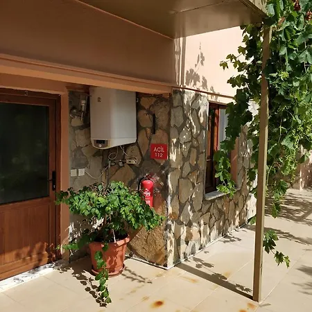 The Palm Apartment Sarigerme