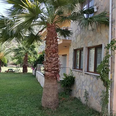 The Palm Appartement Sarigerme