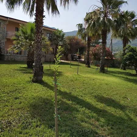 The Palm Apartment Sarigerme