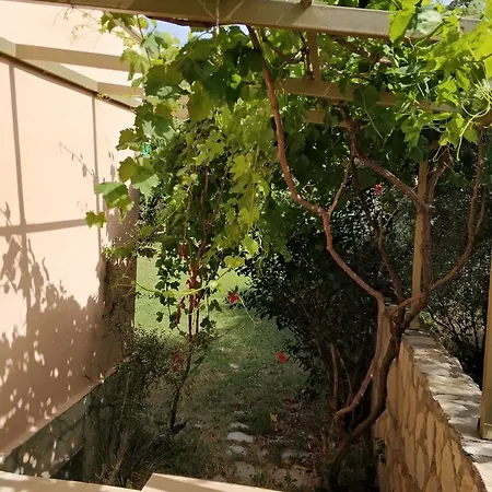 The Palm Appartement Sarigerme