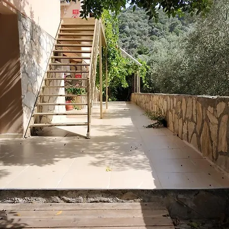 The Palm Apartment