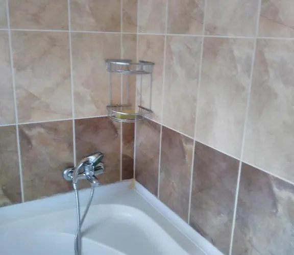 The Palm Apartamento *
