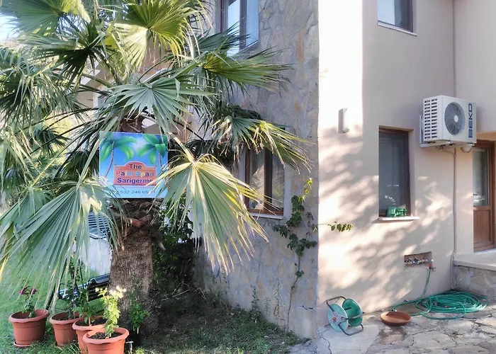 The Palm Sarigerme