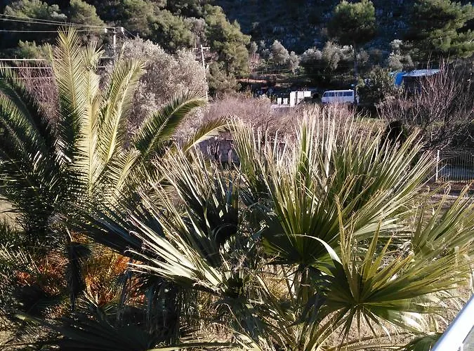 The Palm Apartamento