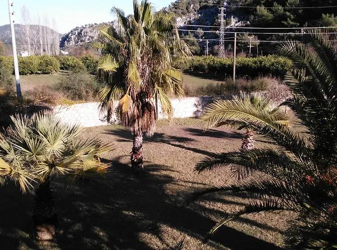 Apartamento The Palm