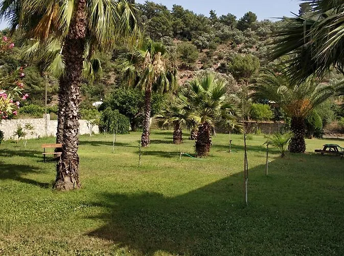 The Palm * Sarigerme