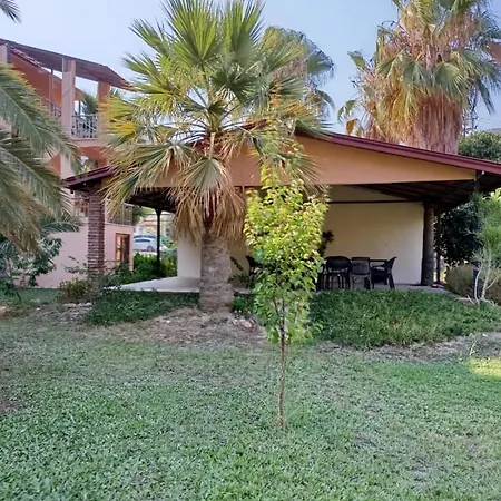 The Palm Apartment