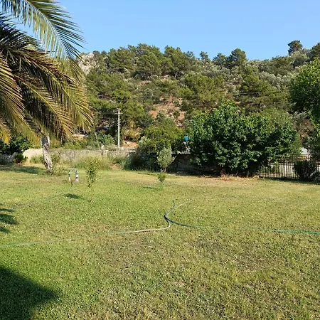 The Palm * Sarigerme