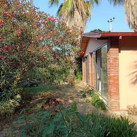 The Palm Apartment Sarigerme