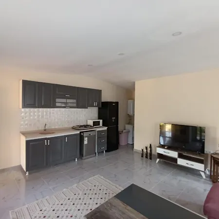 Apartment The Palm Sarigerme