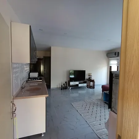 The Palm Apartment *