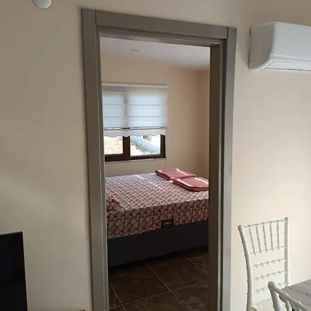 The Palm Apartment