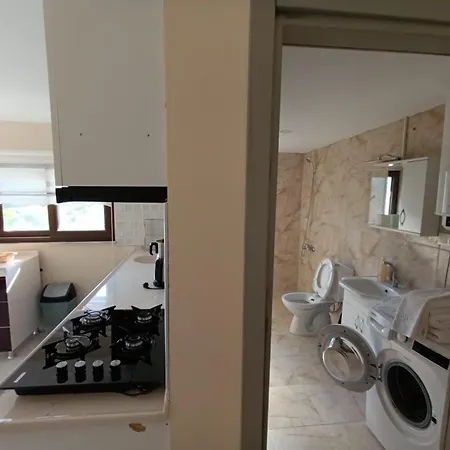 The Palm Apartment *