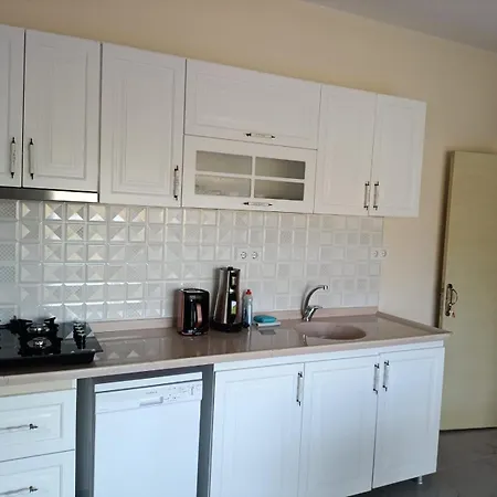 The Palm Apartment *