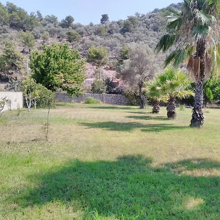 The Palm Apartment Sarigerme