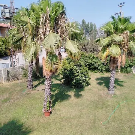 Lejlighed The Palm Sarigerme