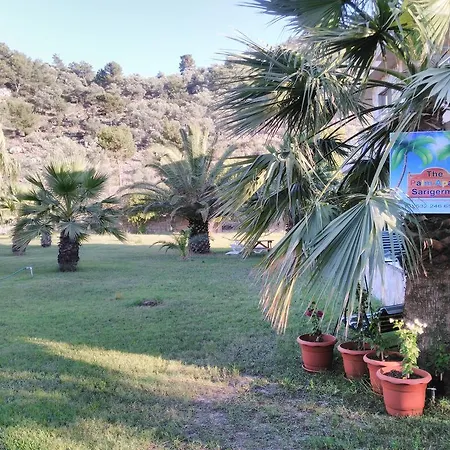The Palm Apartment Sarigerme