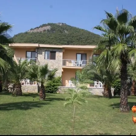 The Palm Apartment