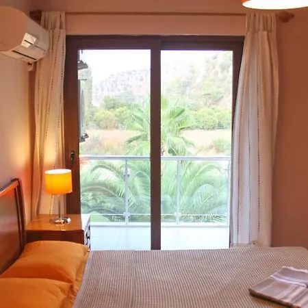The Palm *