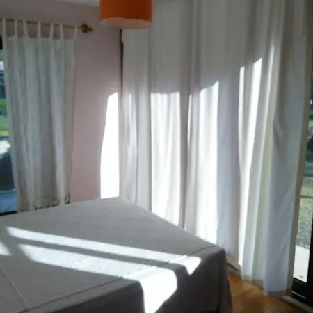 The Palm * Sarıgerme