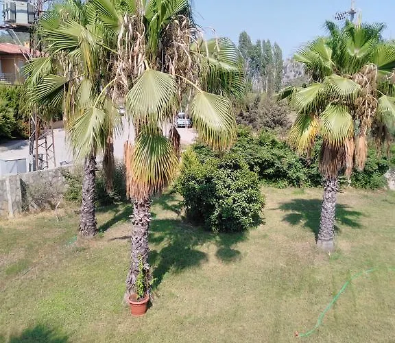 Lägenhet The Palm Sarigerme