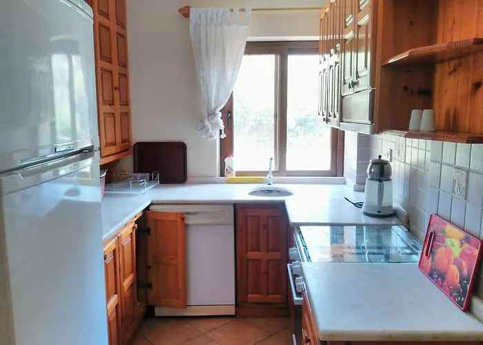 The Palm Lägenhet *