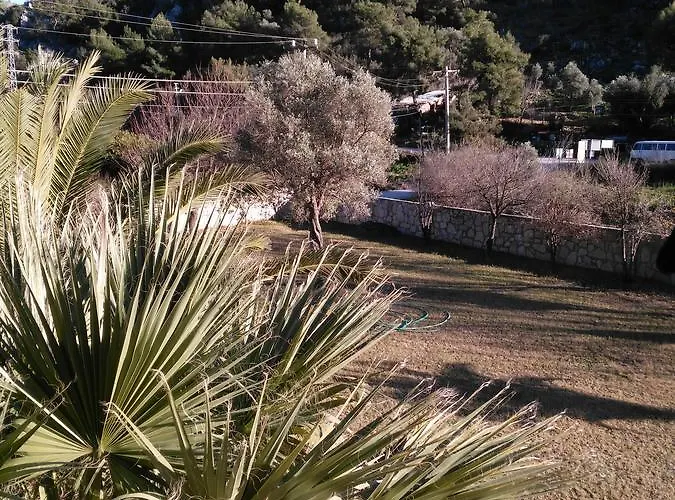 Lägenhet The Palm Sarigerme