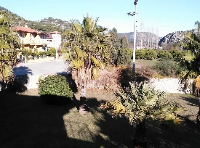 Lägenhet The Palm *