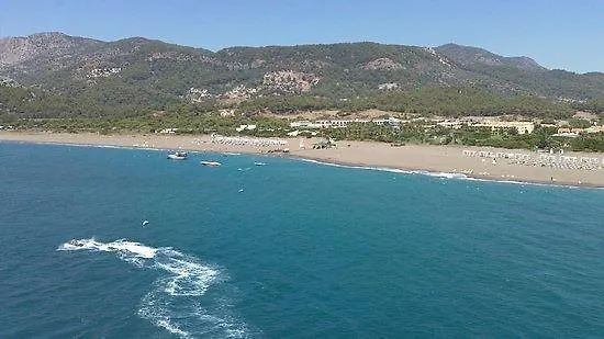 Lägenhet The Palm *