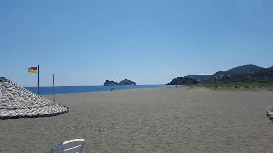 Lägenhet The Palm *