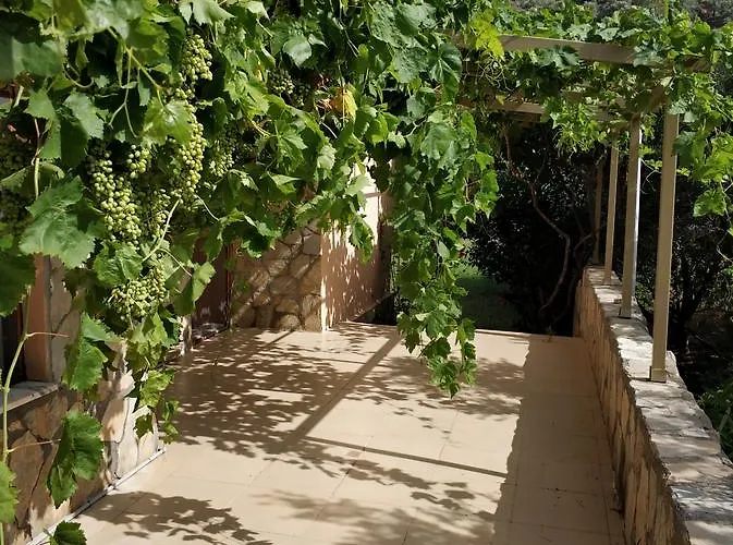 The Palm Lägenhet Sarigerme