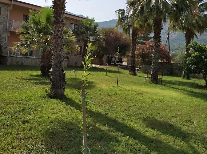 The Palm Lägenhet Sarigerme