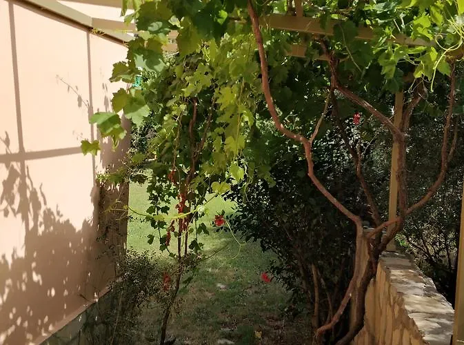 The Palm Lägenhet Sarigerme