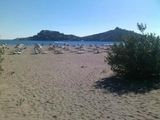 The Palm Lägenhet *