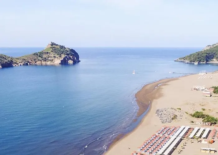 The Palm Lägenhet Sarigerme