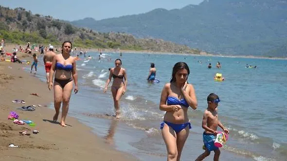 The Palm Lägenhet *